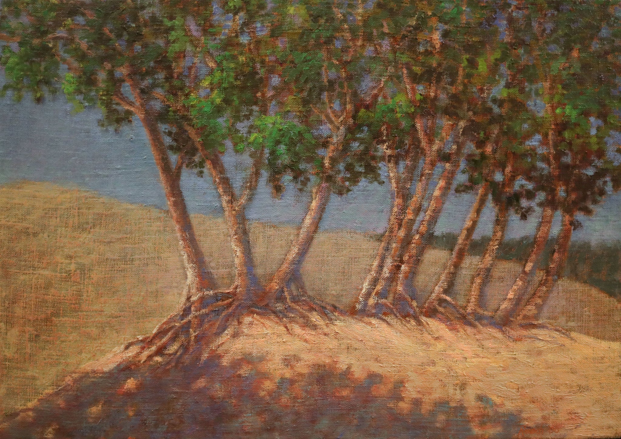 Mount Baldy with Trees & Roots by Mary Reusch