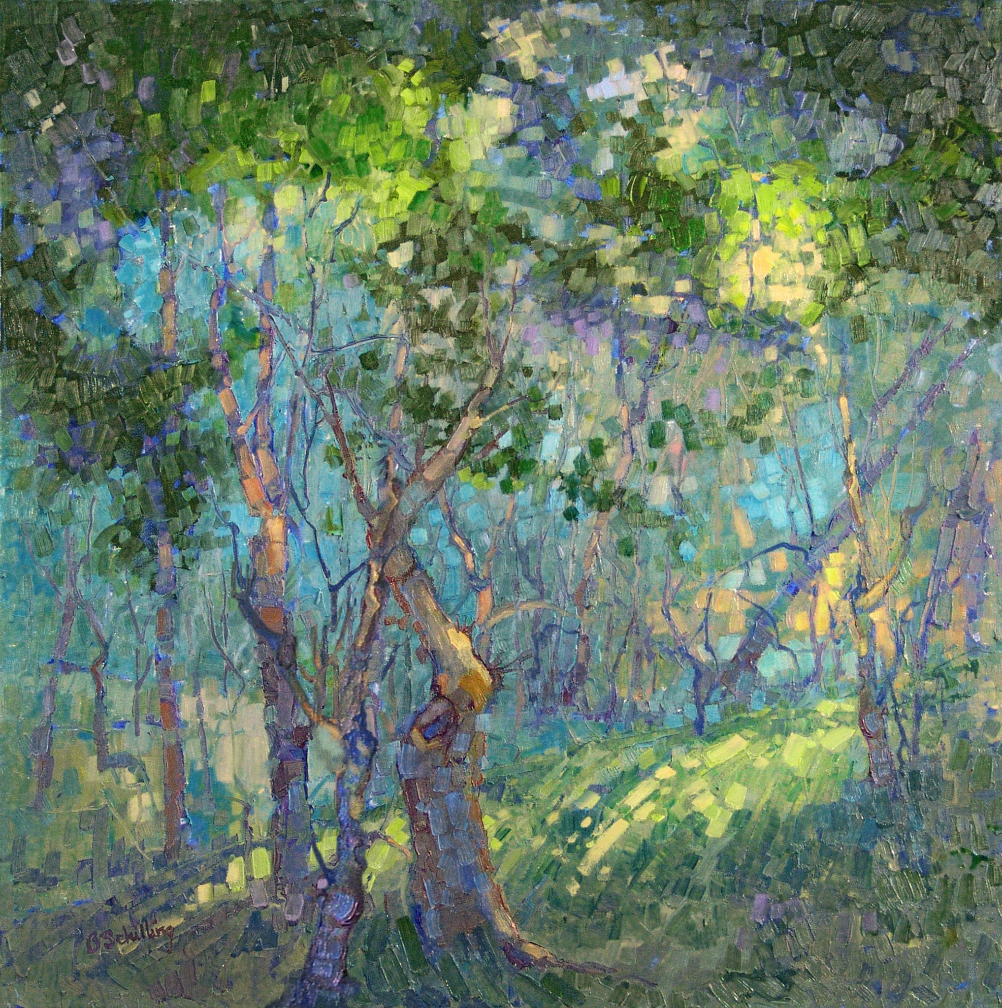 Sunlight Ahead by Barbara Schilling