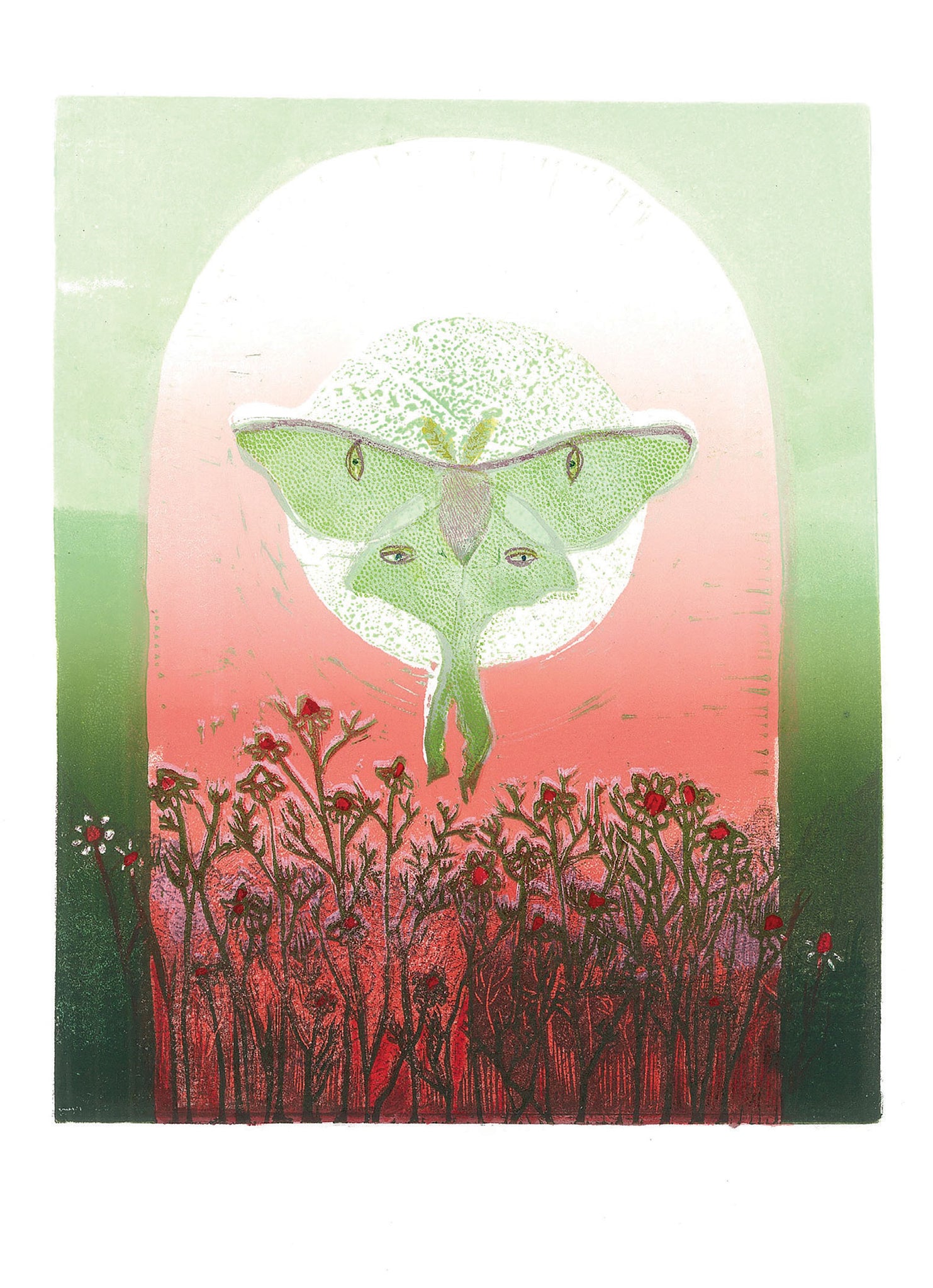 Chamomile by Rebecca Rodriguez